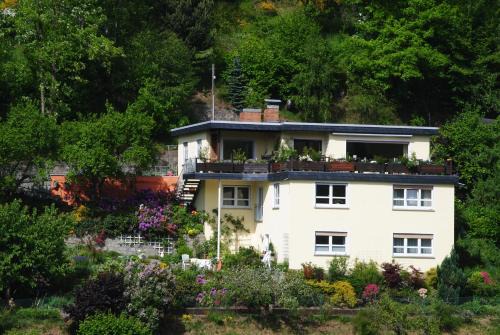 Ludwigsstadt Appartement | Ferienwohnung Haus am Sommerberg