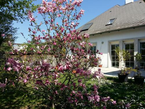 Neusiedl am See Appartement | Ferienwohnung Heider