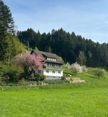 Oberkirch Appartement | Ferienwohnung Hesselbach