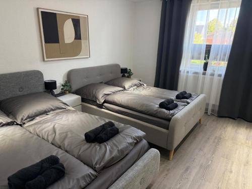 Vienenburg Appartement | Ferienwohnung im Harz 2