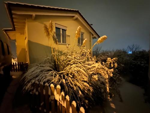 Jestetten Appartement | Ferienwohnung in Jestetten an der Landesgrenze zu Schaffhausen und Zürich