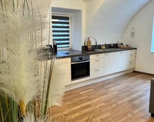 Mixnitz Appartement | Ferienwohnung in Mixnitz-Bärenschützklamm 2