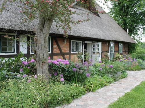 Reddelich Appartement | Ferienwohnung in Reddelich for 4 Personen