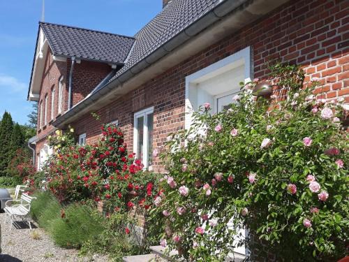 Stoltebuell Appartement | Ferienwohnung in Stoltebüll mit Kleiner Terrasse