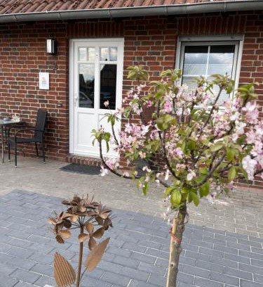 Hagenburg Appartement | Ferienwohnung Kleine Auszeit