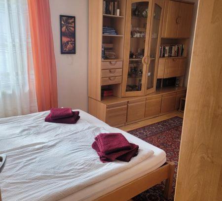 Korneuburg Appartement | Ferienwohnung Korneuburg bei Wien -1