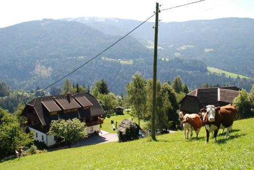Arriach Appartement | Ferienwohnung Lahnerhof