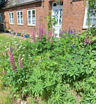 Enge-Sande Appartement | Ferienwohnung Land-Deern in Enge Nordfriesland