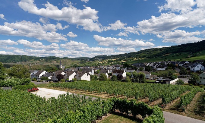 Leiwen Copropriété | Ferienwohnung "laurentiusblick" mit Panoramablick in den Weinbergen von Leiwen