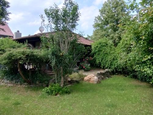 Alsenz Appartement | Ferienwohnung Lenz