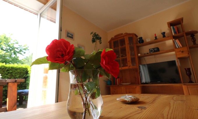 Sellin Appartement | Ferienwohnung Möwe - Ferienwohnungen Se-lf