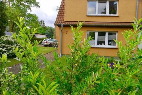 Franken Siedlung Appartement | Ferienwohnung Muschelbank_ MV_Fewo