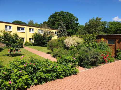 Samtens Appartement | Ferienwohnung Rügen in Samtens