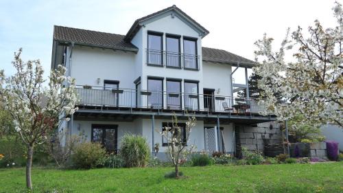 Bad Bellingen Appartement | Ferienwohnung Rheingeschaut