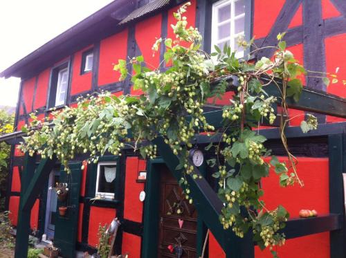Langenberg Appartement | Ferienwohnung Rotes Fachwerkhaus