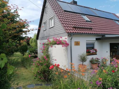 Freiberg Sud Appartement | Ferienwohnung Seilerberg