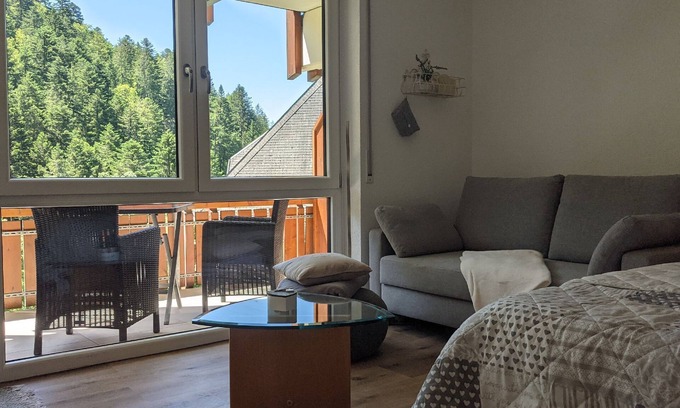 Todtmoos Appartement | Ferienwohnung Sonnenstrahl, 40qm, Balkon, 1 Wohn-/schlafzimmer, Max. 4 Personen