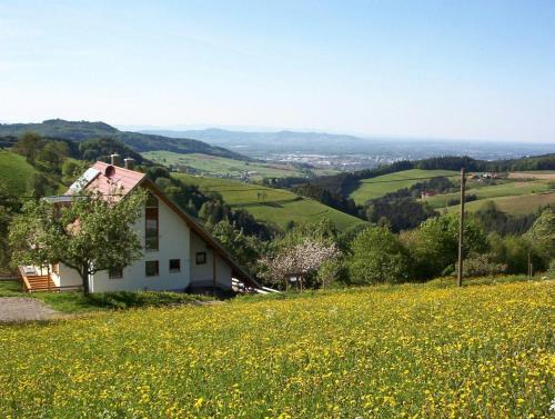 Horben Appartement | Ferienwohnung-Stadtblick