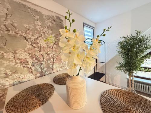 Weißenthurm Appartement | Ferienwohnung Stage One Zentrale Lage