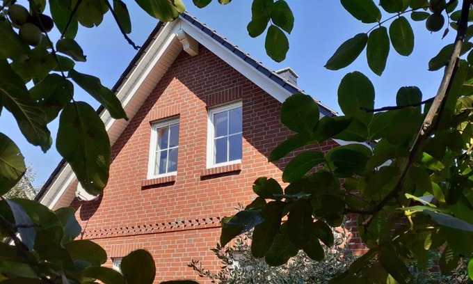 Wriedel Appartement | Ferienwohnung Steinkämpe