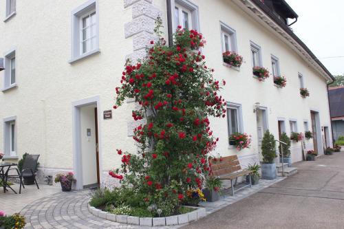 Ewattingen Appartement | Ferienwohnung Thoma