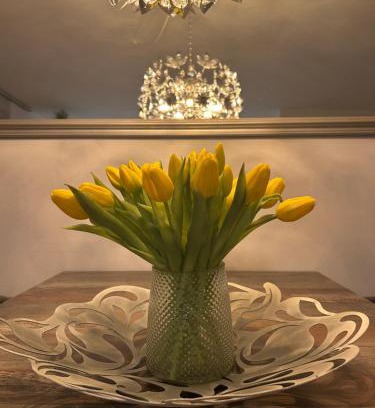 Roschbach Appartement | FERIENWOHNUNG TRUNK direkt an den Weinbergen, Parkplatz, Terrasse mit Grill und Lounge