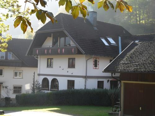 Simonswald Appartement | Ferienwohnung Waldblick