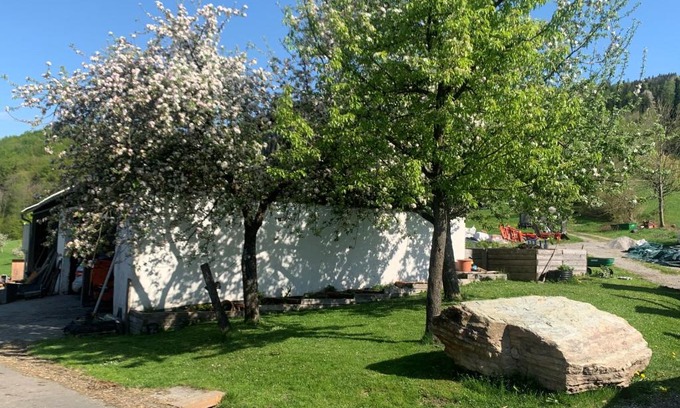 Michelbach Appartement | Ferienwohnung Waldköhlerei