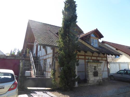 Weil am Rhein Appartement | Ferienwohnung Weiße Rose