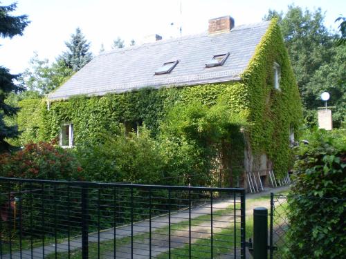 Neuruppin Appartement | Ferienwohnung Wolf