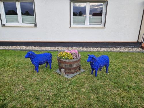Rheinsberg Appartement | Ferienwohnung zu den Blauen Schafen