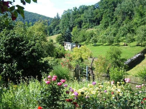 Langenroda Appartement | Ferienwohnungen "allerleigrün"