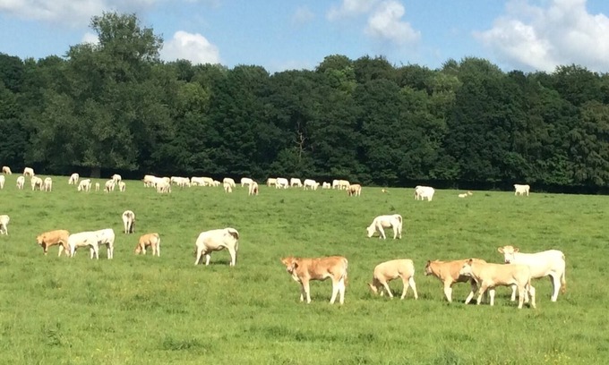 Walincourt-Selvigny Autre | Ferme de Sorval – Vivez la magie de la campagne des Hauts-de-France