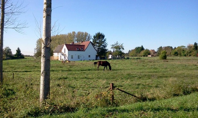 Ville-Pommeroeul Maison | Ferme Lenfant