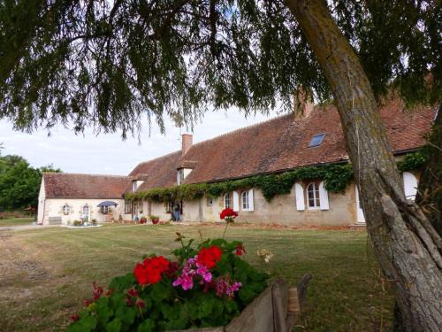 Lurcy-Levis Maison | Ferme restaurée 19ème siècle, gîte indépendant avec étang, proche du circuit de Lurcy-Lévis - FR-1-489-392