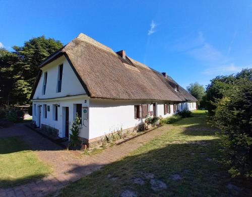 Hohen Demzin Appartement | FeWo am Skulpturenweg
