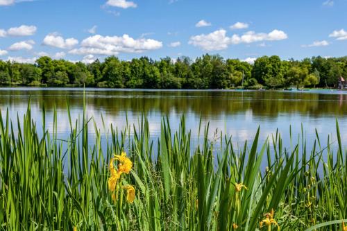 Bad Waldsee Appartement | Fewo am Stadtsee - Bad Waldsee