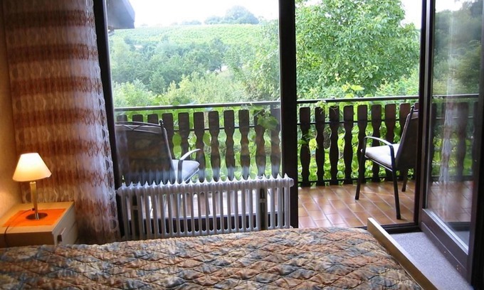 Schweigen-Rechtenbach Appartement | Fewo-balkon - Ferienwohnung Weingut Cuntz Sonnenhof