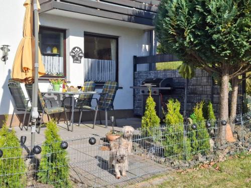 Landkreis Goslar Appartement | FeWo Harzer Bergwind Sankt Andreasberg, 1 Hund bis 30Kg willkommen, große eingezäunte Terrasse mit Gasgrill