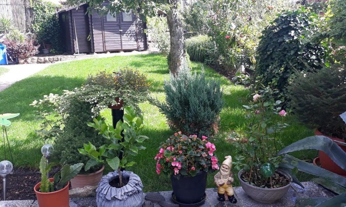 Weimar Appartement | FeWo Weimar