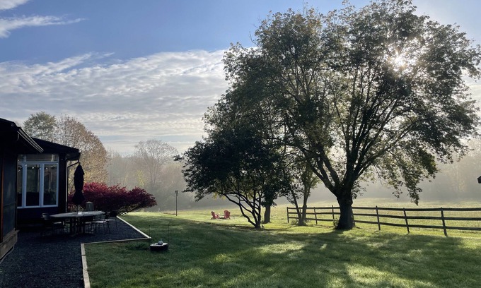 Canaan Maison | Fickle Fox Farm. Daffodils are popping their heads up, summer is coming!