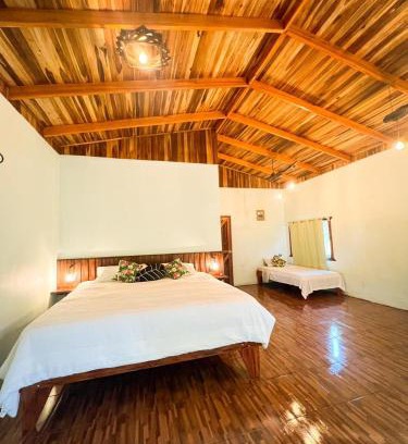 Pital Appartement | Ficus house
