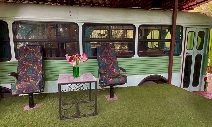 Monteverde Cabine | Ficus Wonders Bus. A Journey Through Nature