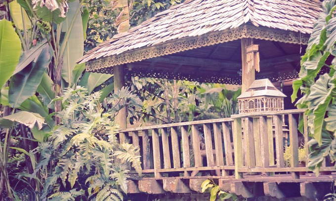 George Town Hôtel | Fig Tree Hill Resort