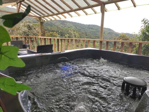 Alejandria Autre | Finca AVALON Alejandria Antioquia
