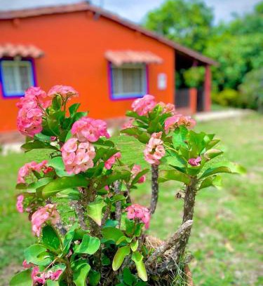 Pinchote Maison | Finca el Paraíso