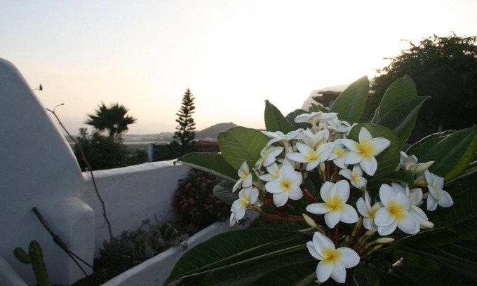 Los Silos Maison | Finca-Las Mariposas 2