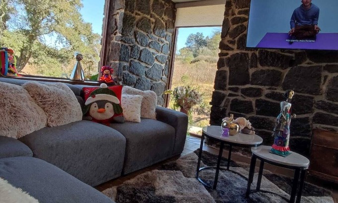 Amealco Cabine | Finca Mayorga