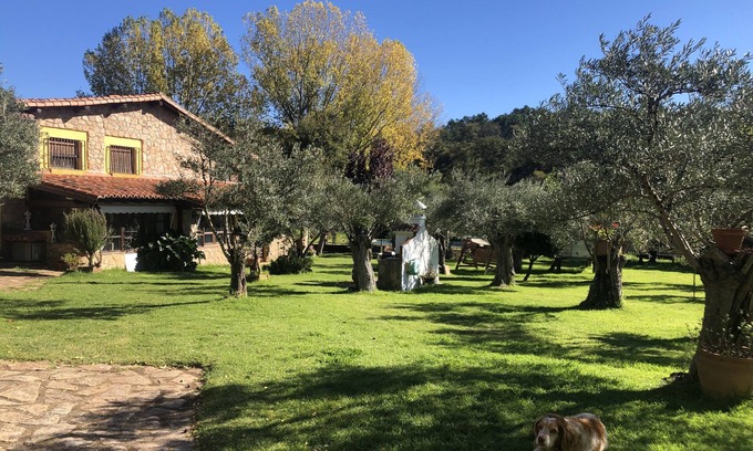 Villasbuenas de Gata Appartement | Finca vergel **** bed and breakfast. CAT SAW