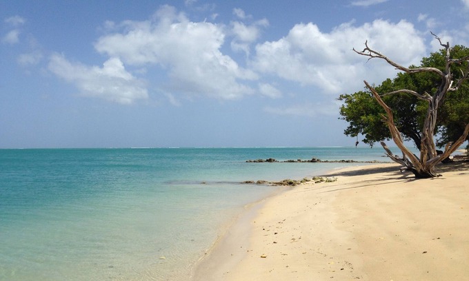 Buccoo Hôtel | Fish Tobago Guesthouse